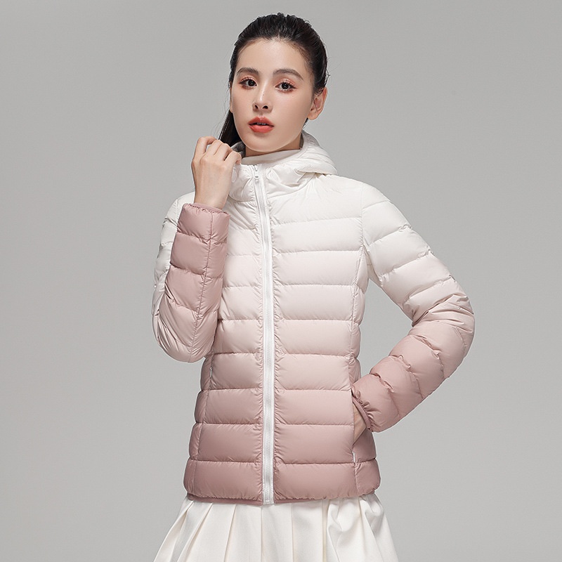 2024 New Arrival Gradient Color Varsity Puffer Jacket Shorts Fashionable Hooded Heattech Outerwear Zippers Light Snake Skin - Image 6