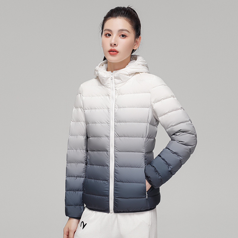 2024 New Arrival Gradient Color Varsity Puffer Jacket Shorts Fashionable Hooded Heattech Outerwear Zippers Light Snake Skin - Image 3