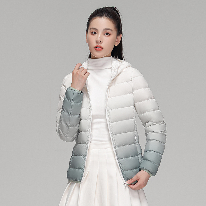 2024 New Arrival Gradient Color Varsity Puffer Jacket Shorts Fashionable Hooded Heattech Outerwear Zippers Light Snake Skin - Image 4